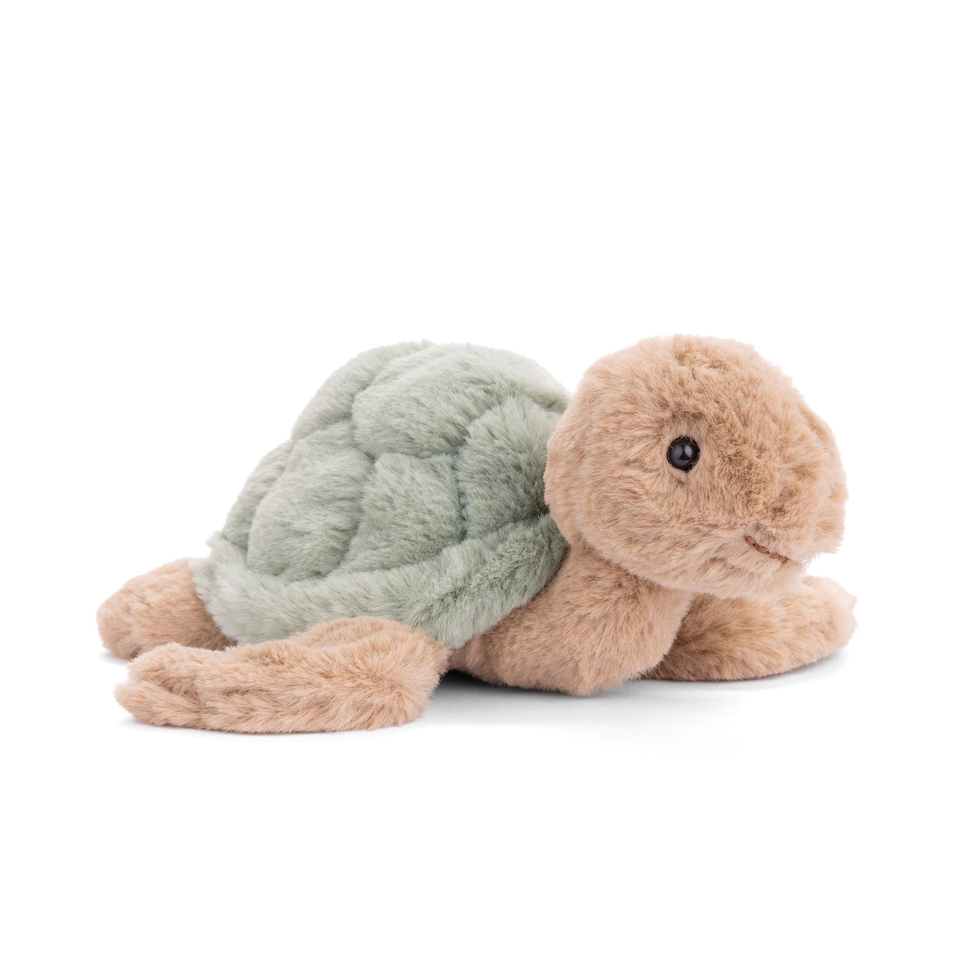 Bukowski | Sandy Turtle - Green